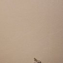 베니키아 호텔 | 대전 중구 베니키아 호텔 후기 성심당 5분 거리 가성비 숙소 추천