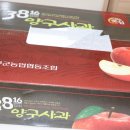 큰나무푸드 | 맛있는 사과 배송받아 먹어본 후기 큰나무푸드 양구사과