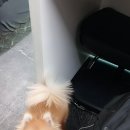 부자카서비스 네이버블로그