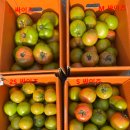 보내농장 이미지