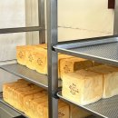 주정차116 이미지