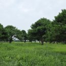 청량학동길 이미지