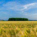 종금주유소 이미지