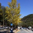 장태산자작나무펜션 이미지