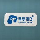 라피에스타 QV | [부천 강아지교육] 독투게더 예민강아지 산책교육 후기