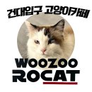 카페우주(woozoo) | 건대입구 고양이카페 &lt;우주로캣 woozoo rocat&gt; 방문후기
