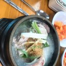 백년지기맛집 이미지