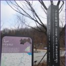 올레길 산림형 4코스 이미지