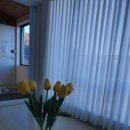 바덴펜션 이미지