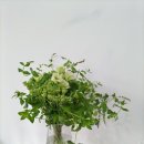 백기청정신건강의학과의원 이미지