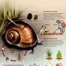 ANYLAB(애니랩) 이미지