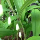 크린 스마트 이미지