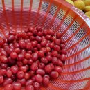 솔참도예공방