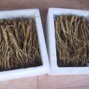 두꺼비농장 이미지