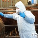 청주축협동물병원 이미지