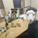 세이안 이미지