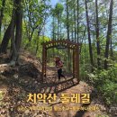 치악산둘레길 9코스 자작나무길 | 원주 가볼만한곳 치악산 둘레길 5코스 서마니강변길 여행정보