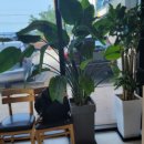 여수 썬힐 펜션 이미지