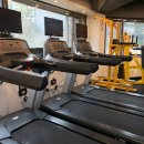 더쉐이프 이미지