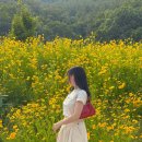 몽비비 [ A라인 롱스커트 ] 벨트 세트