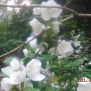 서리내농장 이미지