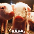 만복농장 이미지