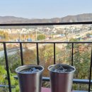 그래티파이 커피 | [경기광주 카페]경기광주 뷰 맛집 카페☕통창뷰 감성 가득 '그래티파이커피'