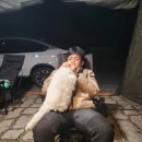 산디마을오토캠핑장 이미지