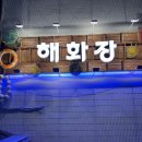 [선릉맛집] 선릉 이색횟집 &lt;해화장&gt; 어선 분위기에서 즐긴 내돈내산 연말 데이트 후기