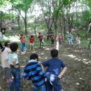 새보람유치원 이미지