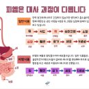 NTC 이미지