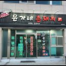 촌돼지 이미지