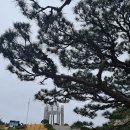 중앙공원 충혼탑 이미지