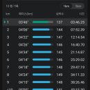 동해랑유치원 | 삼척황영조국제마라톤 후기 10km 50위까지 트로피 주는 대회