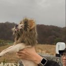 킹 (KING) 이미지