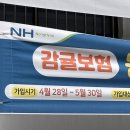 백사카서비스 | 제주도 3박4일 (1)