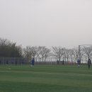 비자인조구장 이미지