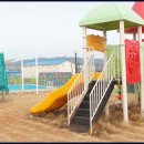 증도농장 네이버블로그