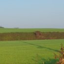 신계초등학교 병설유치원 이미지