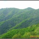 개명산 형제봉 이미지