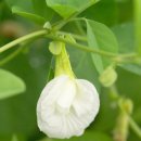 하대동312 이미지