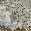 두꺼비포차 이미지