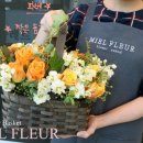 미엘플레르