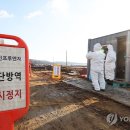 해병농장 네이버블로그
