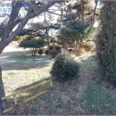 낭산면-1 네이버블로그