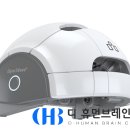 휴먼브레인