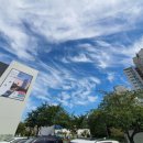 양지초등학교정문 앞 이미지