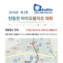 탄동천-2 Daum카페