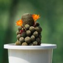 청수정가든 이미지