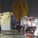 하늘공원호프 이미지